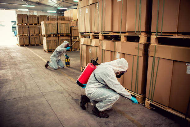 Best Pest Prevention Services  in Bryans Road, MD