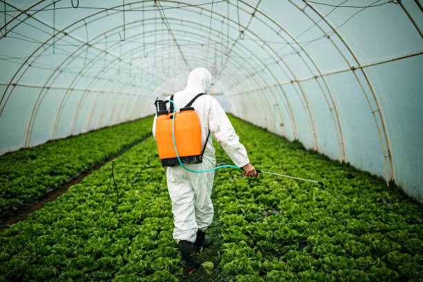 Professional Pest Control in Bryans Road, MD