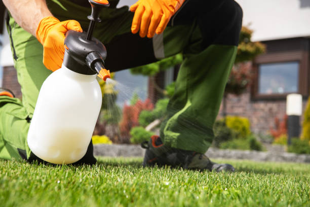 Best Pest Removal Services  in Bryans Road, MD