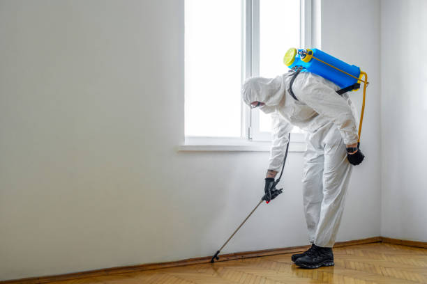 Best Termite Control Services  in Bryans Road, MD