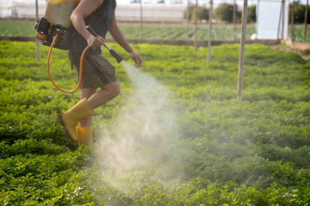 Best Mosquito Control Services  in Bryans Road, MD