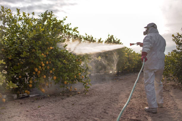 Best Best Pest Control Companies  in Bryans Road, MD