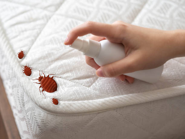 Pest Control for Restaurants in Bryans Road, MD